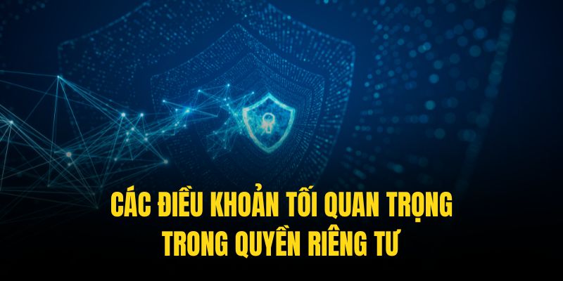 Các điều khoản trong quyền riêng tư được quy định rõ nét, dễ hiểu