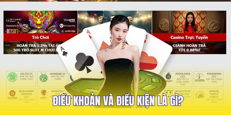 Giới thiệu văn bản điều khoản và điều kiện